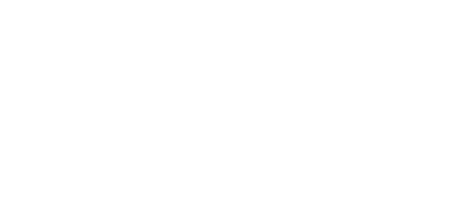 The Web Paanda. Innovate. Code. Elevate.